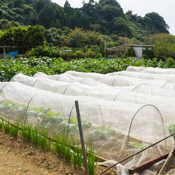 Insect Exclusion Net- 6m x 6m