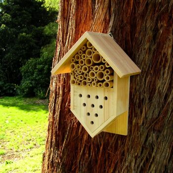 Small Bee & Insect House