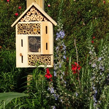Deluxe Bee & Insect Hotel.