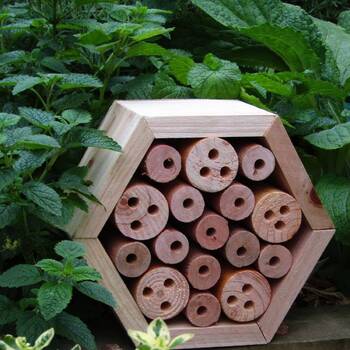Small Hexagon Bee & Insect House- Wood