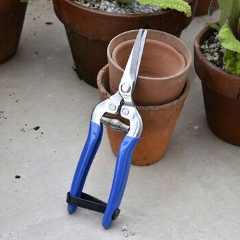 Garden Snip- British Meadow