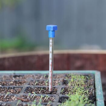Propagating Thermometer