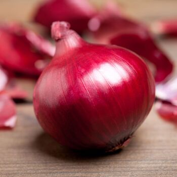 Onion- Red Marksman