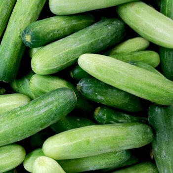 Cucumber- Italian Non-acid