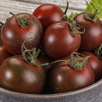 Tomato- Dancing With Smurfs