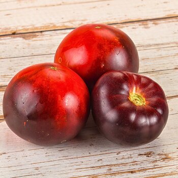 Tomato- Red and Black