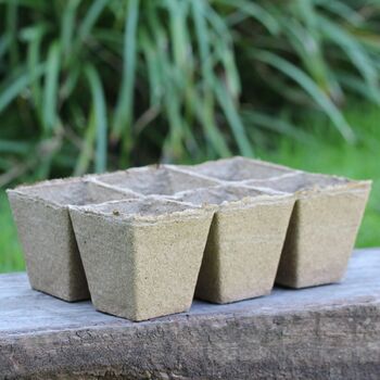 Jiffy Pot Strips- Large 6x80mm