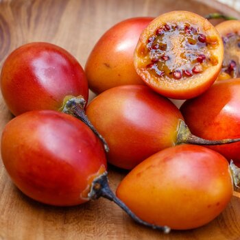 Tamarillo- Bicolor