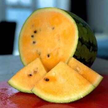 Watermelon- Tender Sweet