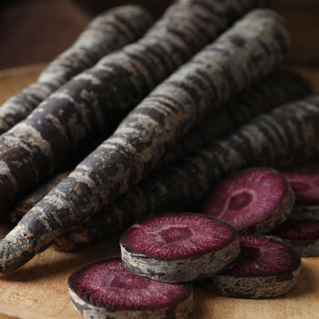 Carrot- Black Nebula