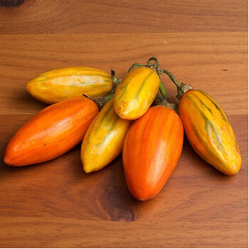 Eggplant- Striped Togo