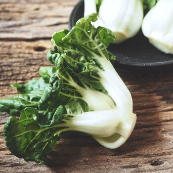 Cabbage, Chinese- Pak Choi- Toy Choi F1