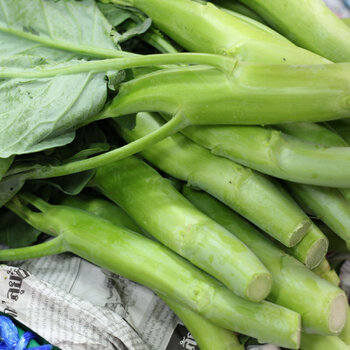 Chinese Broccoli- Big Stem