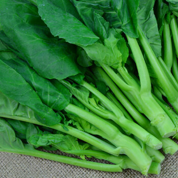 Chinese Broccoli- Early Jade