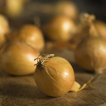 Pearl Onion- Yellow
