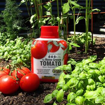 Tomato Granular Fertiliser- 1kg