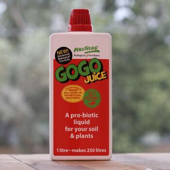 Neutrog GOGO Juice Concentrate- 1L