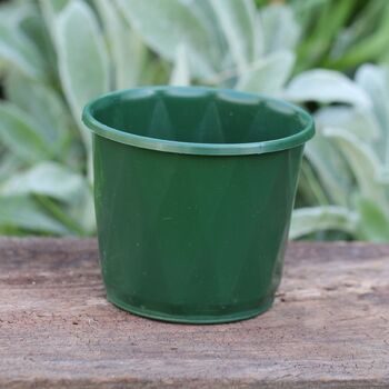 100mm Plastic Pot- Dark Green