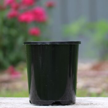 140mm Plastic Pot- Black