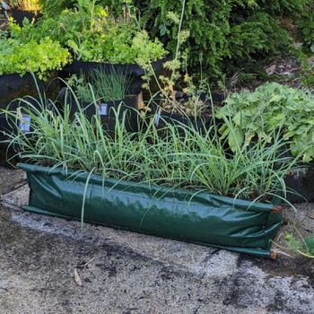 Rectangular Planter Bags