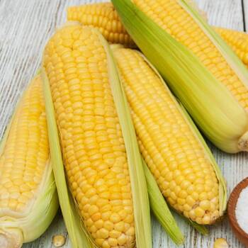 Corn, Sweet- Balinese