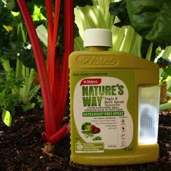 Natures Way Natrasoap Pest Spray- 200ml