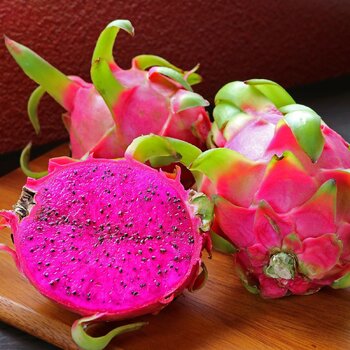 Dragon Fruit- Paul Thomson G2 (Cutting)