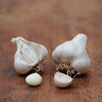 Garlic- Melbourne Market (Bulb)