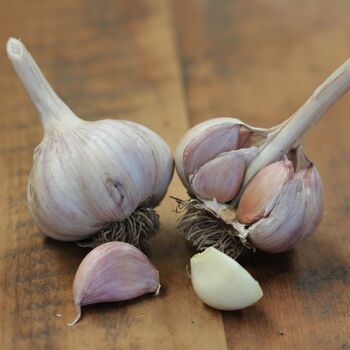 Garlic- Australian Red (Bulb)