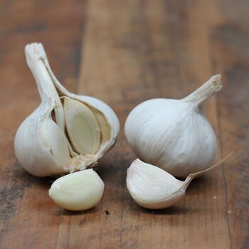 Garlic- Kangaroo Island White (Bulb)