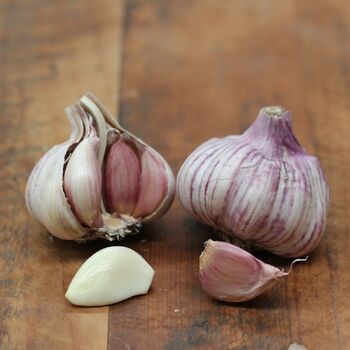 Garlic- New Zealand Red (Bulb)