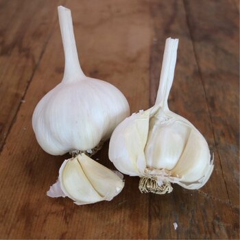 Garlic- Cobram White (Bulb)