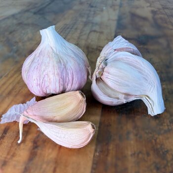 Garlic- Italian Pink (small bulbs)