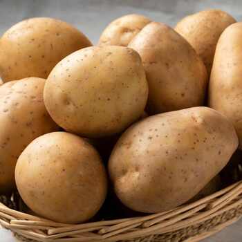 Certified Seed Potato- Nicola