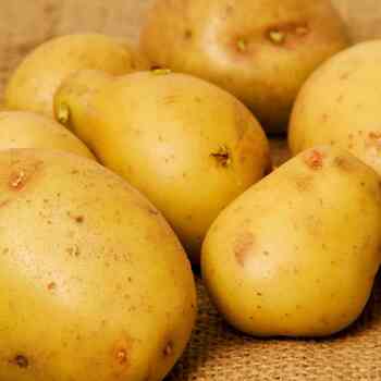 Certified Seed Potato- King Edward