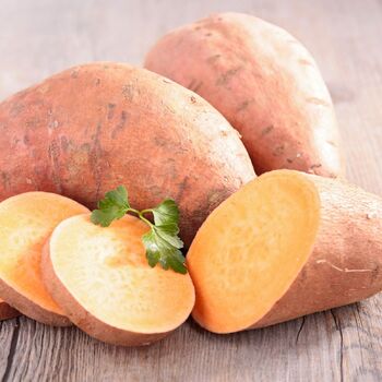 Sweet Potato- Beauregard