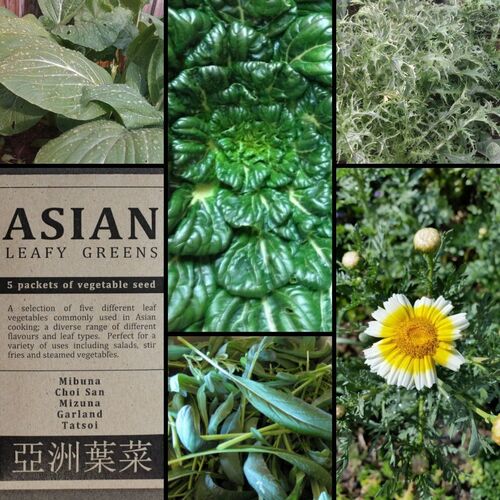 "Asian Leafy Greens" Seed Collection