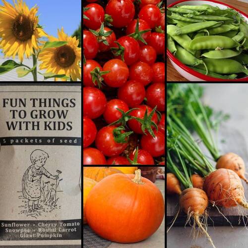 "Fun Things to Grow with Kids" Seed Collection