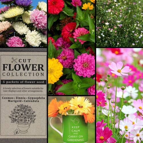 "Cut Flower" Seed Collection