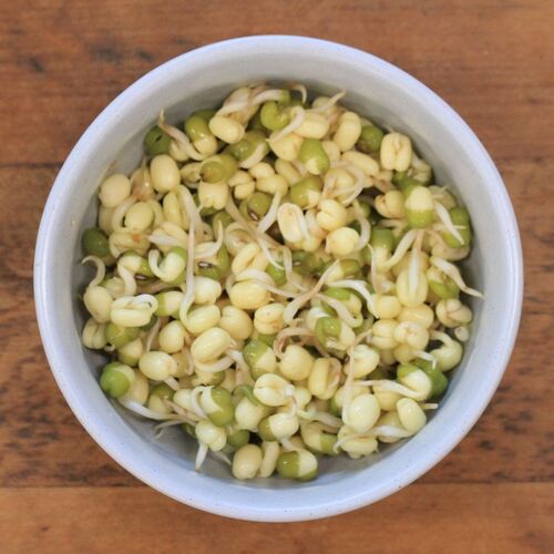 Mung bean growth stages picture