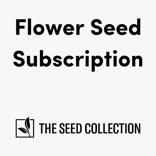 Flower Seed Subscription