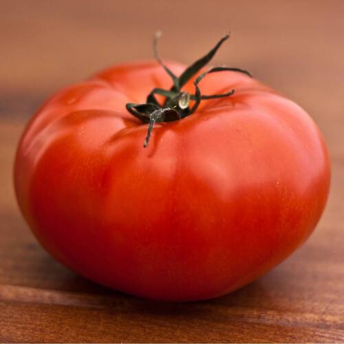 Tomato- Beefsteak