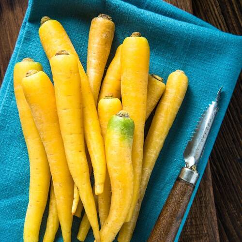 Carrot- Solar Yellow