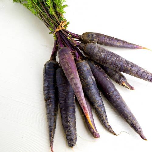 Carrot- Cosmic Purple
