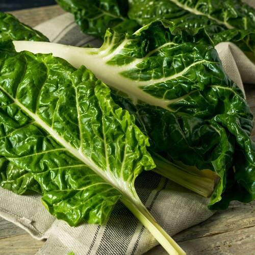 Silverbeet- Large White Ribbed