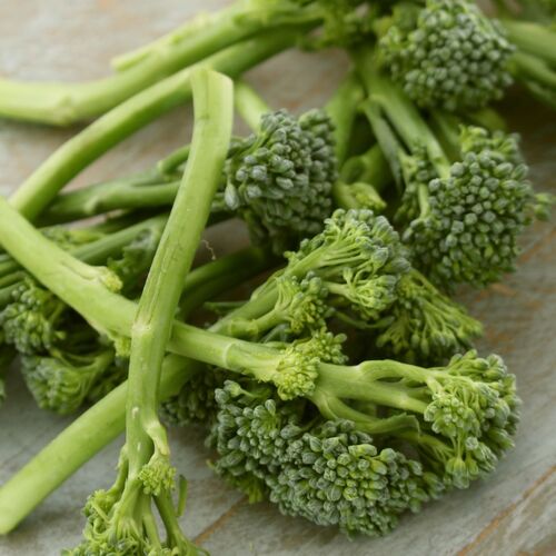 Broccoli- Green Sprouting Calabrese