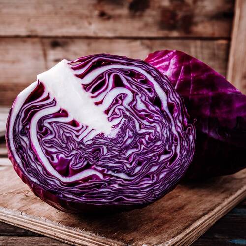 Cabbage- Red Dutch