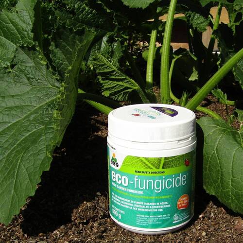 Eco Fungicide Organic Powder- 500g