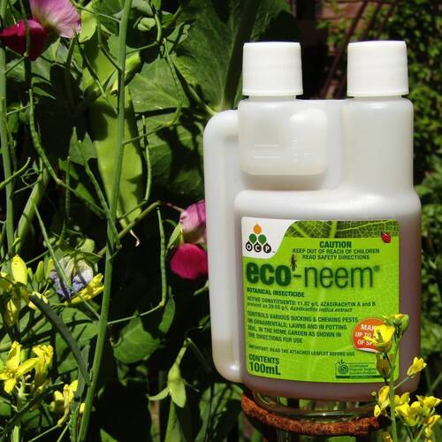 Eco Neem Organic Insecticide- Concentrate 100ml
