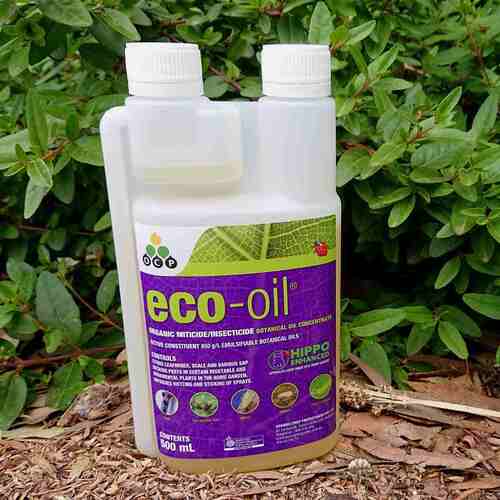 Eco Oil Organic Insecticide- Concentrate 500ml